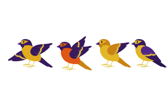 Unleashing Creativity with the Set Animal Bird Design Collection